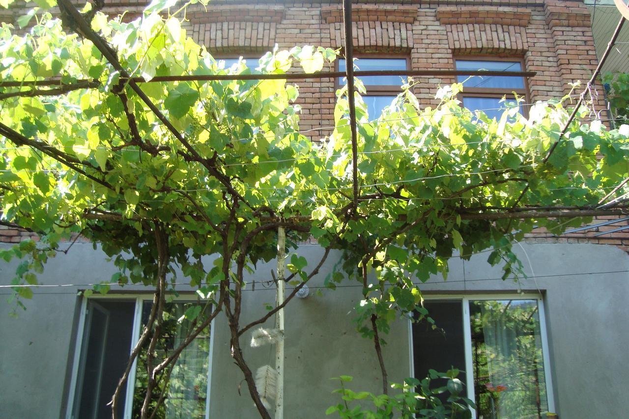 Guesthouse Valeria 보르조미 외부 사진