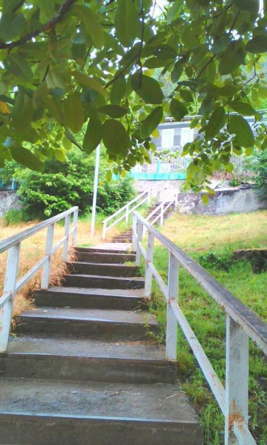 Guesthouse Valeria 보르조미 외부 사진